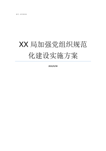 XX局加强党组织规范化建设实施方案基层党组织