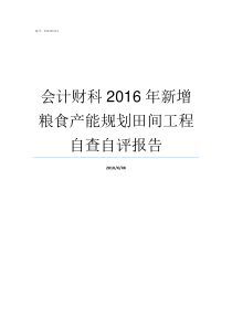 会计财科2016年新增粮食产能规划田间工程自查自评报告西财会计