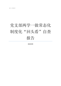 党支部两学一做常态化制度化回头看自查报告两学一做五个常态化