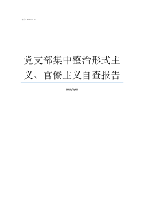 党支部集中整治形式主义官僚主义自查报告党支部的组织形式