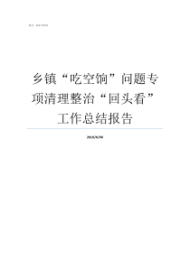 乡镇吃空饷问题专项清理整治回头看工作总结报告