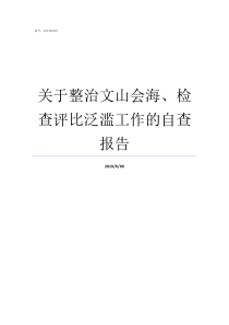 关于整治文山会海检查评比泛滥工作的自查报告