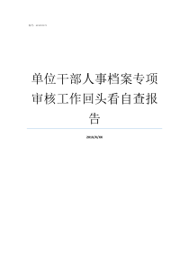 单位干部人事档案专项审核工作回头看自查报告全国干部人事档案专项