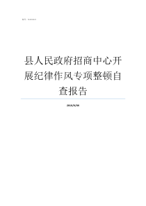 县人民政府招商中心开展纪律作风专项整顿自查报告沿河县人民政府