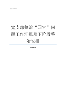 党支部整治四官问题工作汇报及下阶段整治安排各党支部对四风问题整治