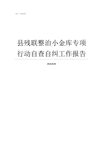 县残联整治小金库专项行动自查自纠工作报告小金库整治措施