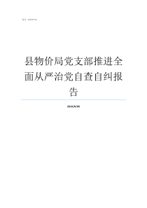 县物价局党支部推进全面从严治党自查自纠报告推进党支部建设