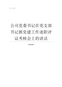 公司党委书记在党支部书记抓党建工作述职评议考核会上的讲话党委书记党组织