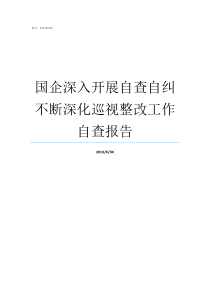 国企深入开展自查自纠不断深化巡视整改工作自查报告国企自查自纠怎么查