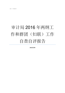 审计局2016年两纲工作和群团妇联工作自查自评报告2018年以来县审计局