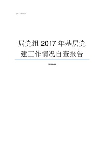 局党组2017年基层党建工作情况自查报告2017年甘肃服务基层