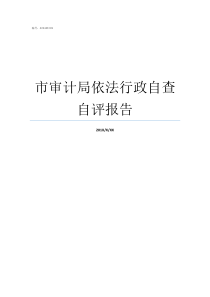 市审计局依法行政自查自评报告