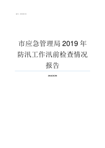 市应急管理局2019年防汛工作汛前检查情况报告四川省应急管理局最新消息