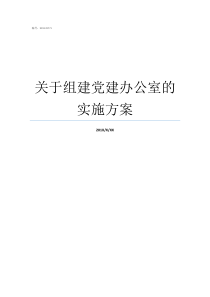 关于组建党建办公室的实施方案