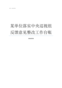 某单位落实中央巡视组反馈意见整改工作台账落实中央巡视要求情况