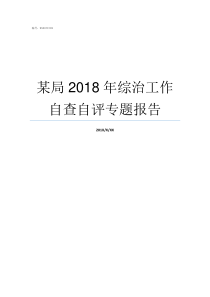 某局2018年综治工作自查自评专题报告2018年综治会议记录