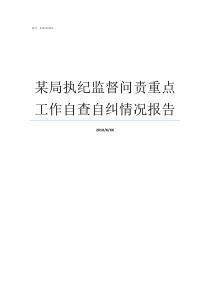 某局执纪监督问责重点工作自查自纠情况报告