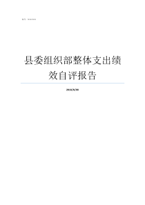 县委组织部整体支出绩效自评报告基本支出绩效自评表