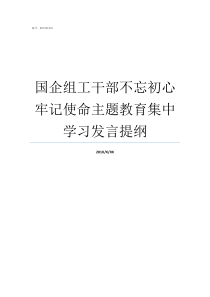 国企组工干部不忘初心牢记使命主题教育集中学习发言提纲国企党员不忘初心牢记使命