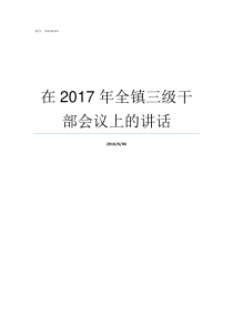 在2017年全镇三级干部会议上的讲话