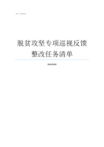 脱贫攻坚专项巡视反馈整改任务清单脱贫攻坚巡视问题整改通知