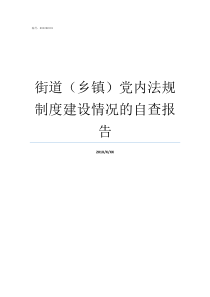 街道乡镇党内法规制度建设情况的自查报告街道属于乡镇吗