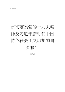 贯彻落实党的十九大精神及习近平新时代中国特色社会主义思想的自查报告