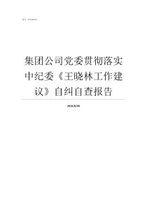 集团公司党委贯彻落实中纪委王晓林工作建议自纠自查报告为深入贯彻落实