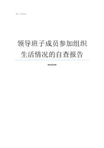 领导班子成员参加组织生活情况的自查报告领导班子