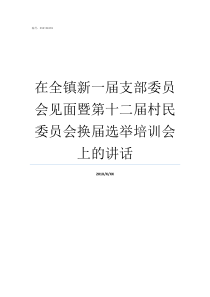 在全镇新一届支部委员会见面暨第十二届村民委员会换届选举培训会上的讲话新的支部委员会