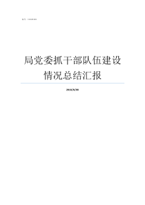 局党委抓干部队伍建设情况总结汇报