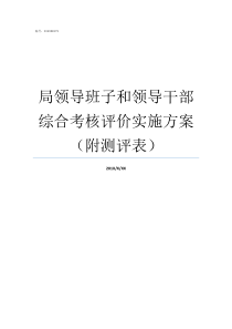 局领导班子和领导干部综合考核评价实施方案附测评表