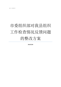 市委组织部对我县组织工作检查情况反馈问题的整改方案