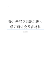 提升基层党组织组织力学习研讨会发言材料召开提升基层党组织组织力