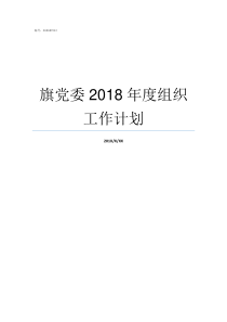 旗党委2018年度组织工作计划2018年度党委班子问题整改