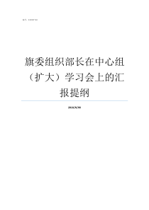 旗委组织部长在中心组扩大学习会上的汇报提纲