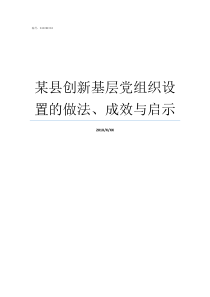 某县创新基层党组织设置的做法成效与启示