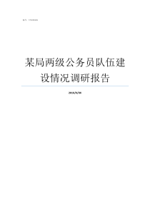 某局两级公务员队伍建设情况调研报告进入公务员队伍