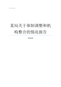 某局关于体制调整和机构整合的情况报告编制体制调整