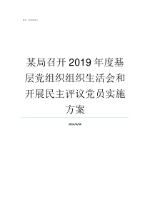 某局召开2019年度基层党组织组织生活会和开展民主评议党员实施方案2019年钱江杯