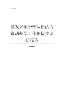 激发乡镇干部队伍活力调动基层工作积极性调研报告