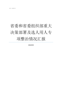 省委和省委组织部重大决策部署及选人用人专项整治情况汇报