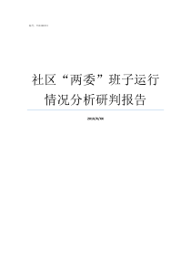 社区两委班子运行情况分析研判报告村两委班子运行情况