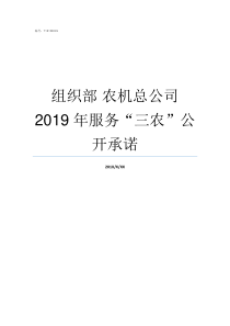 组织部nbsp农机总公司2019年服务三农公开承诺农机公司怎么样