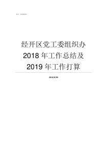 经开区党工委组织办2018年工作总结及2019年工作打算两新组织党工委书记