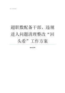 超职数配备干部违规进人问题清理整改回头看工作方案