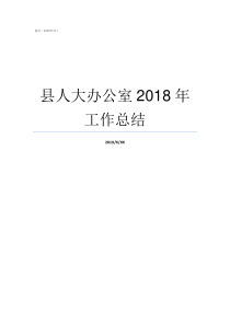 县人大办公室2018年工作总结