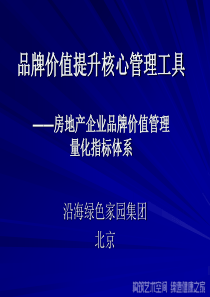 房地产企业品牌价值管理量化指标体系_59PPT