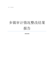 乡镇审计情况整改结果报告