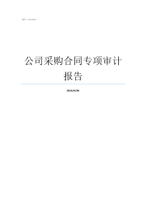 公司采购合同专项审计报告设备采购审计合同
